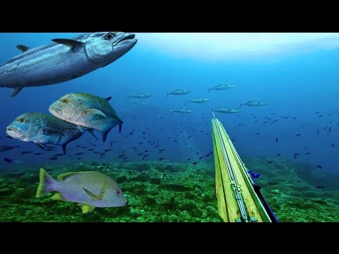 Tuna Pendeza