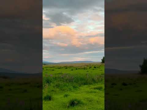 Верхний Нюд #shortvideo