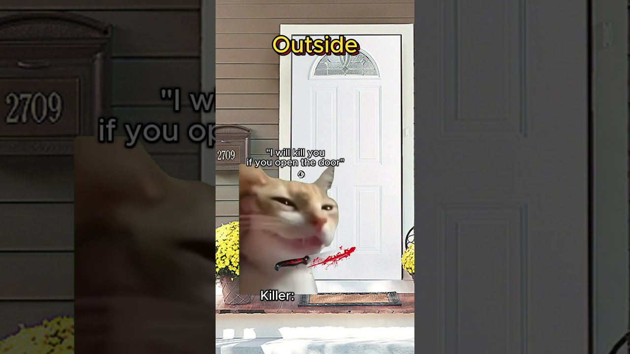 CAT MEMES When You Have Superpower Catmemes Relatable