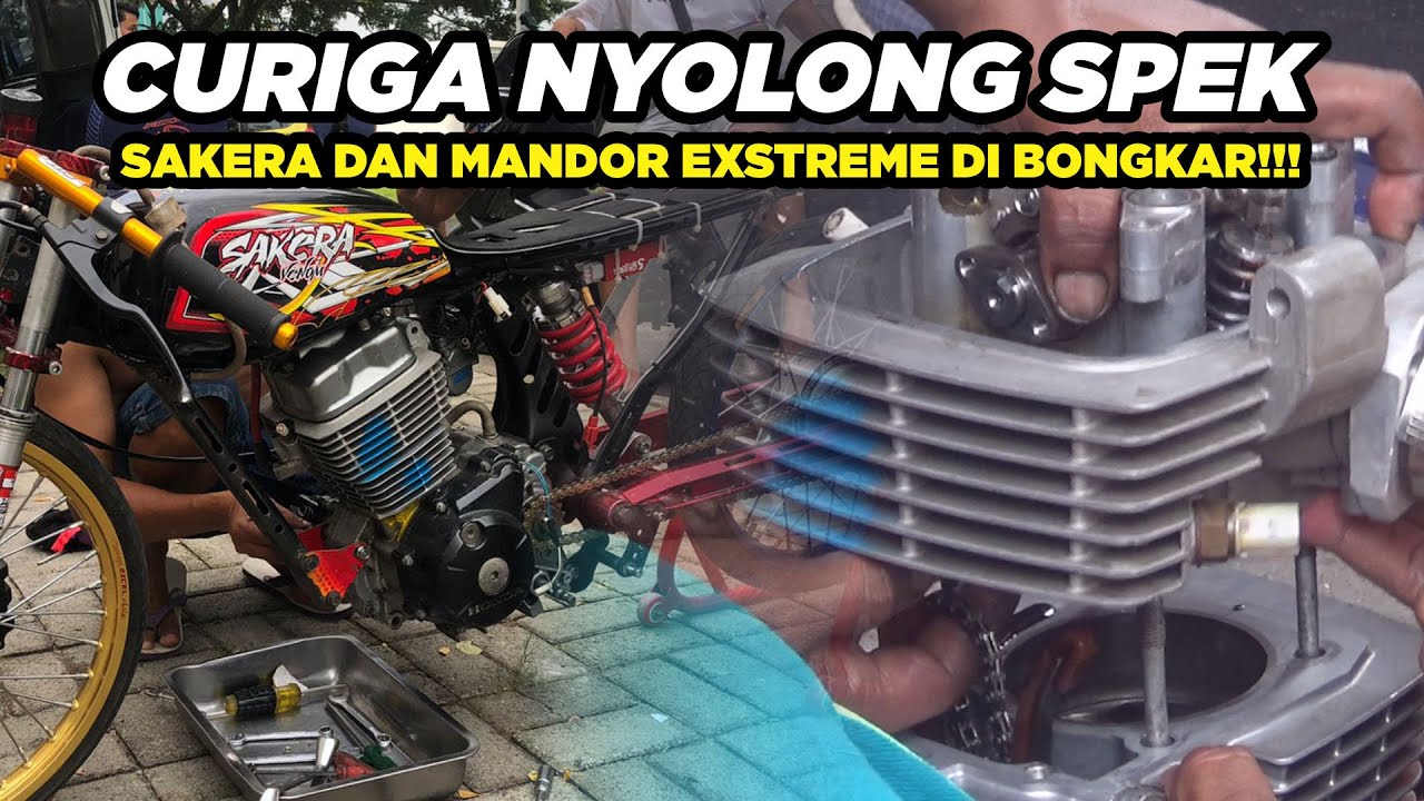 CURIGA JUARA Kelas 300CC 