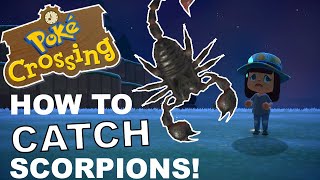 How To Catch A Scorpion Or Tarantula! | Fool Proof Guide! (Animal Crossing New Horizons)
Today is a quick guide on how to catch a scorpion or tarantulas! They can be deadly but worth a good amount of bells so 100% worth the effort! So heres my fool proof guide! Dont Forget its also the bug off this weekend so be sure to check out my guide and make sure your ready!
#animalcrossingguide #animalcrossingscorpions
Dont forget to subscribe for DAILY Animal Crossing New Horizon Content!
https://www.youtube.com/channel/UCFcfGSlzubpHYia9Z4nAJJQ?sub_confirmation=1
More Animal Crossing New Horizon Videos Here: https://www.youtube.com/playlist?list=PLSTvNlGsSnKB8_wb_AIh-ufEeOjHQomn3
Lets Connect!
www.twitter.com/crankin_
www.instagram.com/pokecrossing_
www.instagram.com/rankin21
Tags: Animal Crossing New Horizons, Animal Crossing, Animal Crossing Funny Moments, Animal Crossing Island inspo, Animal Crossing Design, Animal Crossing Terraforming, Animal Crossing Speed Build, Animal Crossing News, Animal Crossing Top Tips, Animal Crossing Orchard, ACNH, ACNH community, ACNH Funny moments, Animal Crossing Data mine, Poke crossing How To Catch A Scorpion Or Tarantula! | Fool Proof Guide! (Animal Crossing New Horizons)