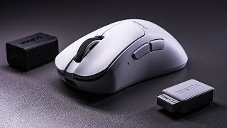 The King of Small Ergo Mice?