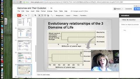 Genomes and their Evolution