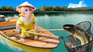 Monkey baby BonBO goes Catch Cute Chickens, Colorful  Betta Fish, Turtle,Cute Animals Islands