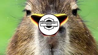 música sobre capivaras que viralizou // capybara (tradução) 