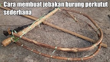 Cara membuat jebakan burung perkutut mudah