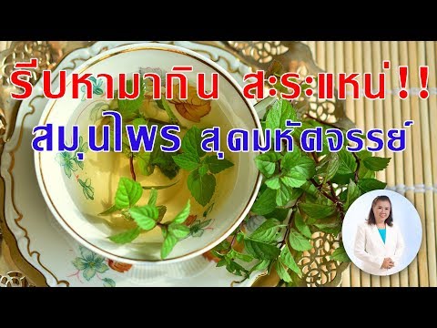 ต้องรู้ !! สะระแหน่ สมุนไพรพื้นบ้าน สุดมหัศจรรย์ | พี่ปลา Healthy Fish