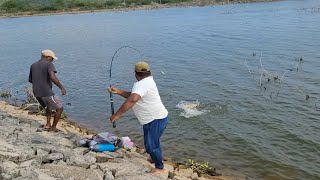 Incredble Fishingfisherman Hunting Catching Rohu Fishes By Single Hookunbelievable Fishing