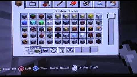 Minecraft working washing machine build.