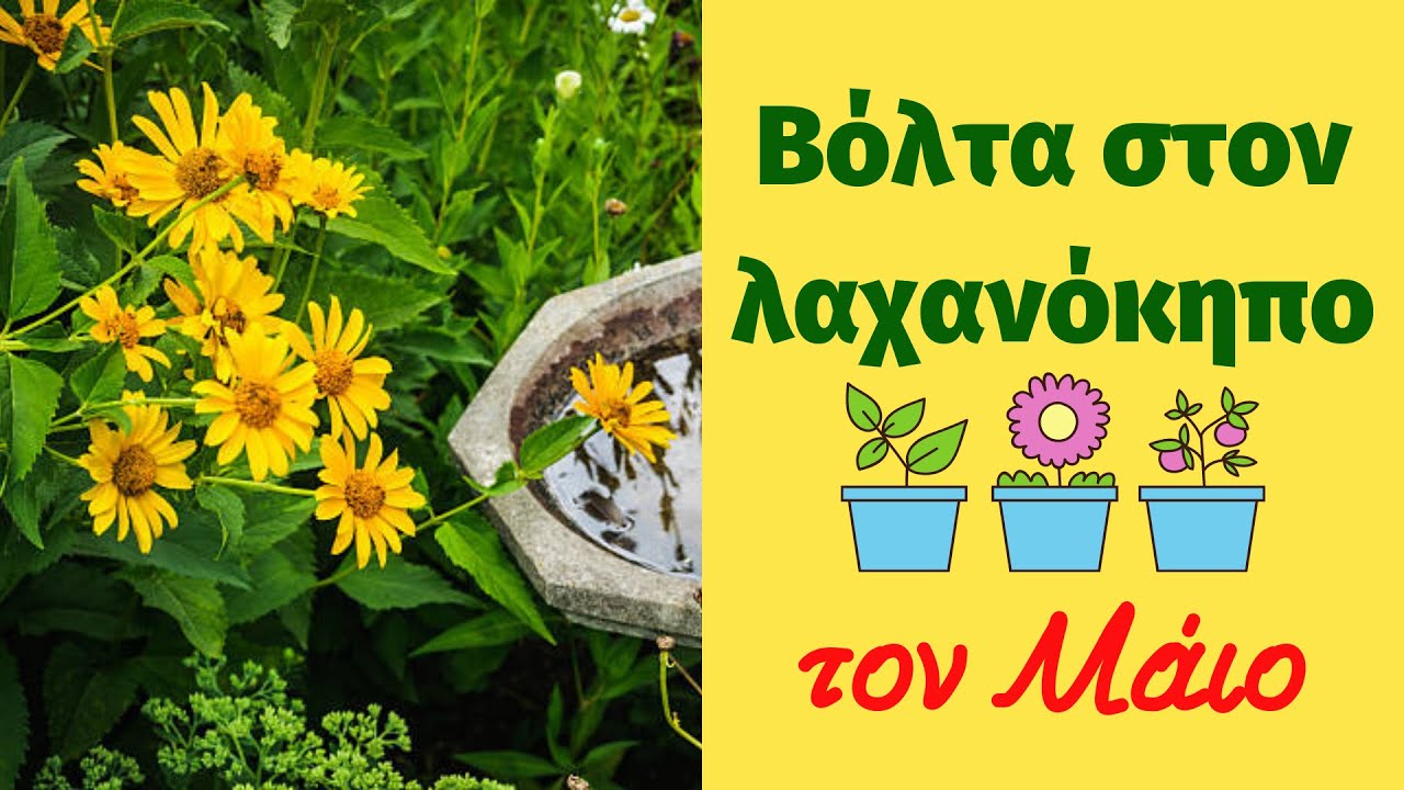 Βόλτα στον λαχανόκηπο τον Μάιο