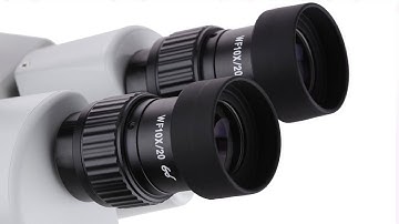AmScope Stereo Zoom Microscope User