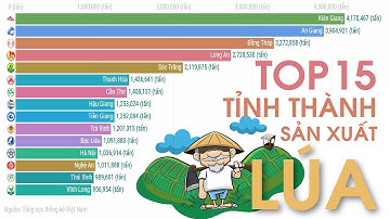 Top 15 Tỉnh Thành Có Sản Lượng Lúa Cao Nhất Việt Nam (1995 - 2019)