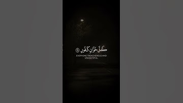 سورة الحج {٣٨-٣٩}  | القارئ ماهر المعيقلي ❤️❤️❤️❤️✨🌺