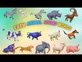 Animal Sounds Song For Kids Safari Farm Zoo Animals ABC Learning For Toddlers