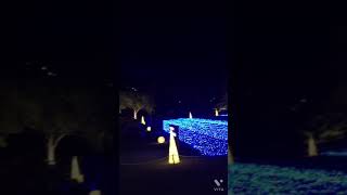 2021.11.三原市芸術文化センターポポロ 冬の祭り ウィンター イルミネーション Winter illumination