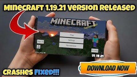 how to download 1.19.21 official version