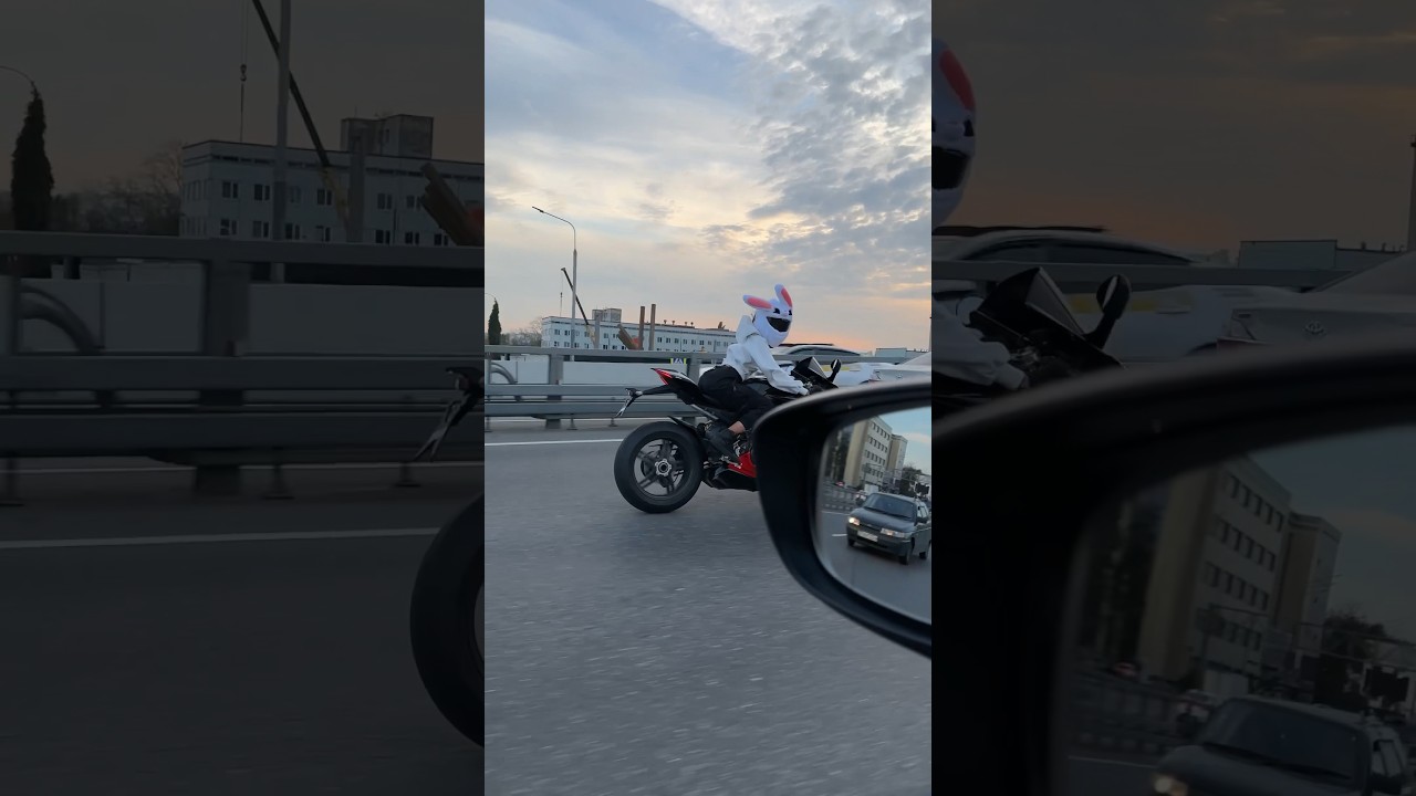 ПОГОНЯ полиции ЗА ЗАЙЦЕМ😂🐰 