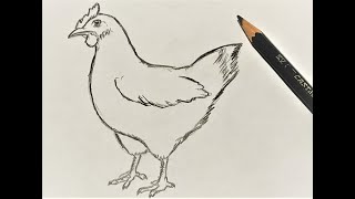 How to draw a Chicken Hen | Easy Pencil Drawing
