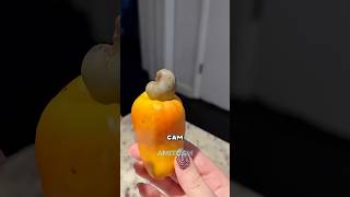 Как растет кешью? #амитеш #орехи #ферма