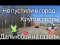 Не пустили в Великие Луки. Кругом посты! Дальнобой на газели!