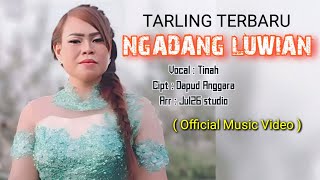 Ngadang luwian _ Tinah ( Official Music Video ) Cipt : Dapud Anggara