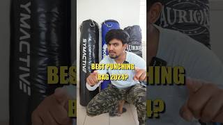 Best Punching Bag for Home in 2024?