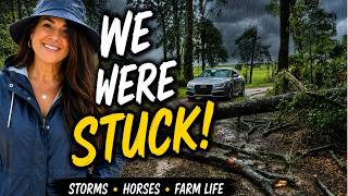 A Tree Blocked Our Driveway! | Real Life on Our Florida Farm