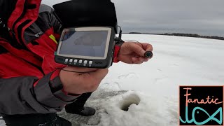Ice Fishing With An UNDERWATER Camera For Zander screenshot 5