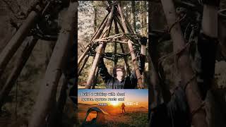 Build A Wickiup With Dead Spruce