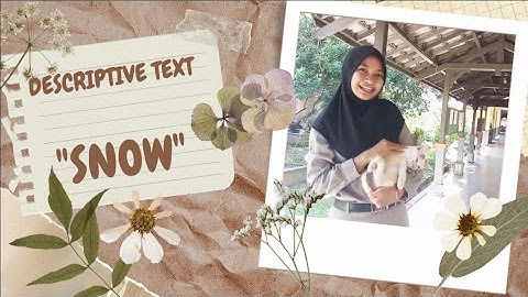 DESCRIPTIVE TEXT (MY SCHOOL CAT "SNOW")