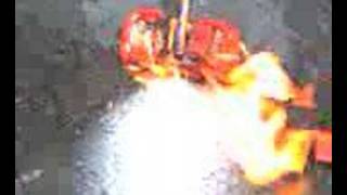 Kam-Dog Runs It Over The Old Girl Productions