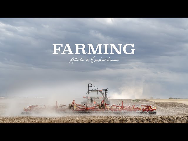 Farming in Canada : Saskatchewan & Alberta | Seeding & Harvest | TT Farms Ltd. class=