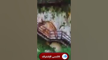 دعاء  أذكار النوم