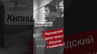 Персидский Дагестанец и Юсупов стремились чуть кипишь не пошёл /хайп поп Мма /спорт/sorts