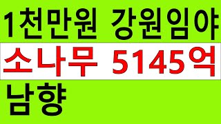 낙찰 강원 삼척시 도계읍 발이리 산29 임야 53356㎡ 싼임야 남향 전원생활 숲가치5145억원 탄소권15만원 숲경영 약용재배 자연인 땅과함께(새희망을)경매임야 공매임야 나도땅주인