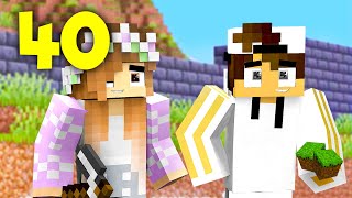 40 Costruisco Delle Mura Minecraft