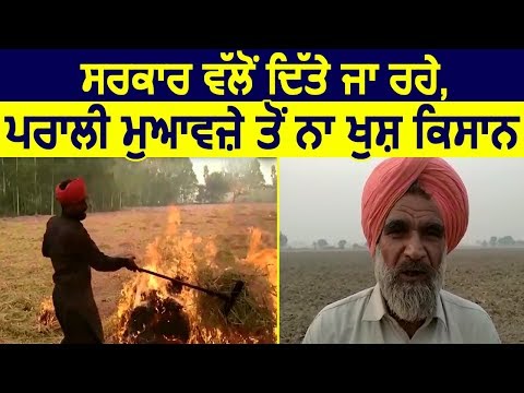 Punjab Govt. से मिल रहे पराली के मुआवज़े से खुश नहीं है किसान