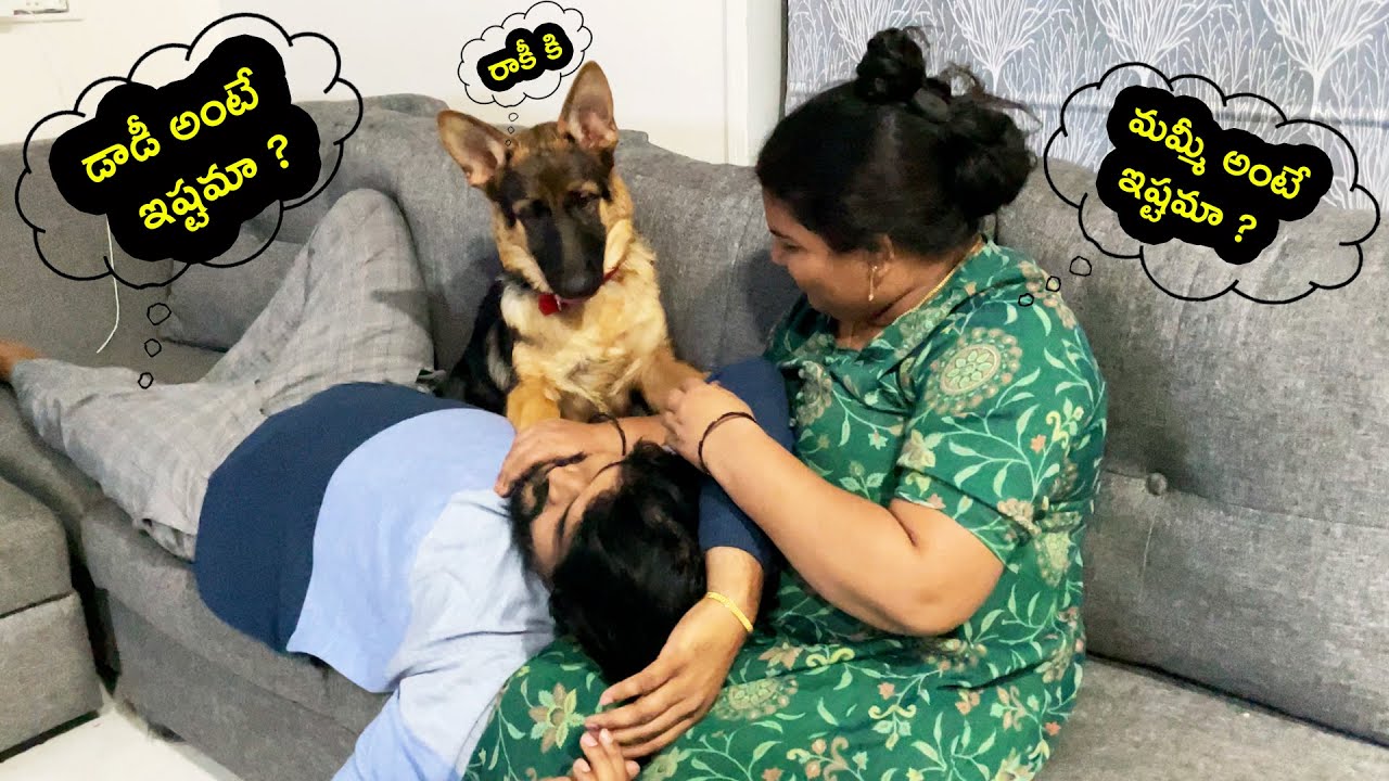 Who Do Rocky Love More.. Mom or Dad ?