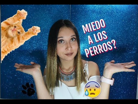 Video: Cómo Deshacerse Del Miedo A Los Perros