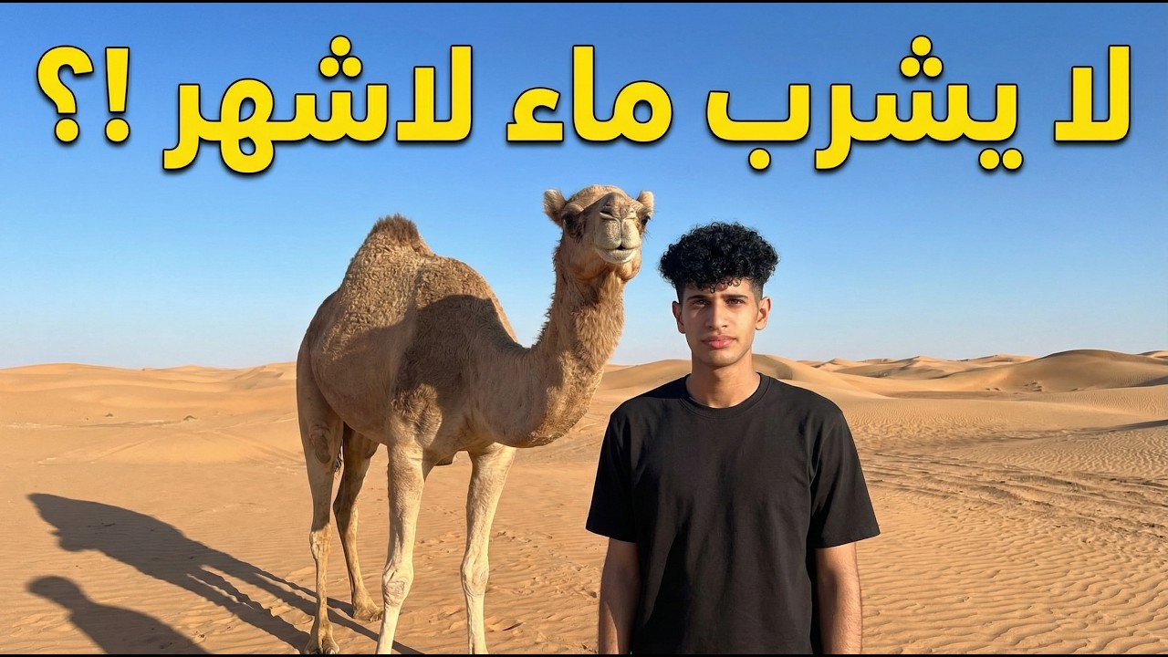 الجمل حكالي قصته بحقائق علمية مذهلة صدمتني! 😲