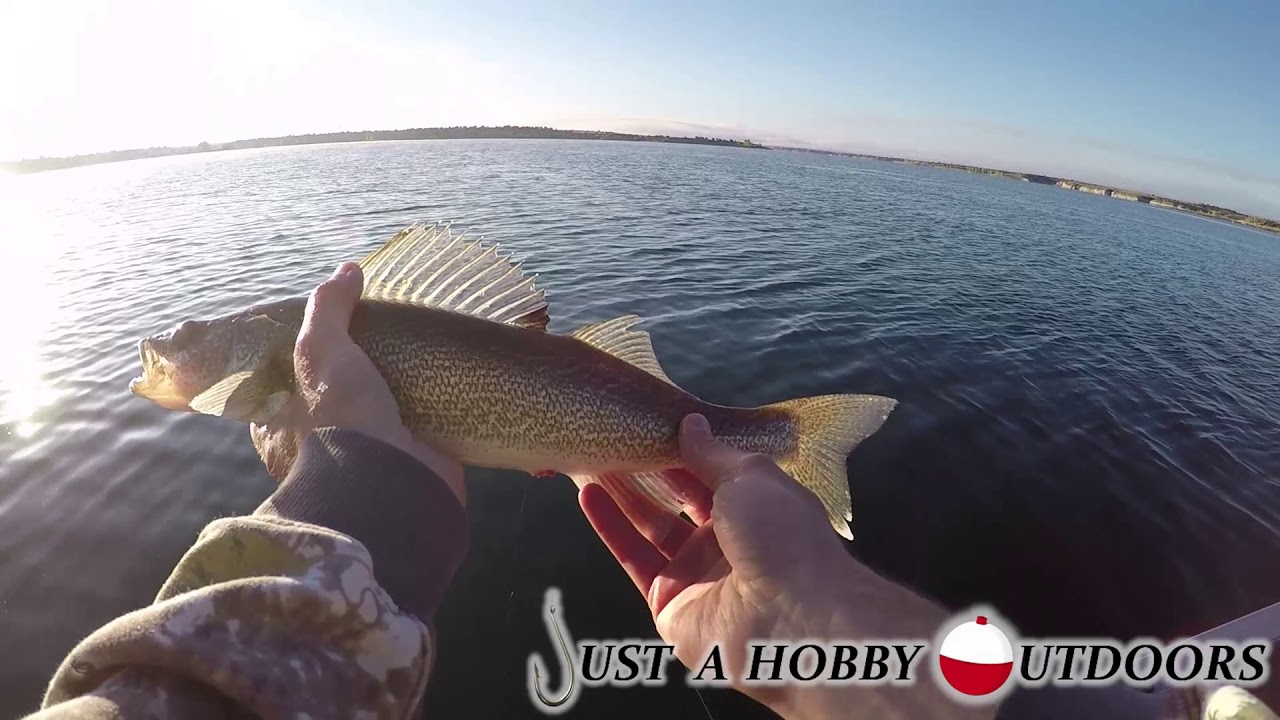 Pueblo Reservoir, CO Walleye Fishing Lindy Rig and Leech, More Bass