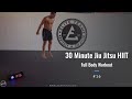 30 Minute Jiu Jitsu HIIT - Full Body Workout (No Equipment!!!)