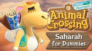 Saharah for Dummies screenshot 4