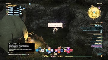 FINAL FANTASY XIV: A Realm Reborn Brayflox