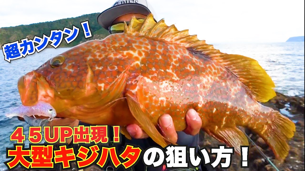 ロックフィッシュ】スイミングメソッドで大型キジハタが連発‼︎ 【前編