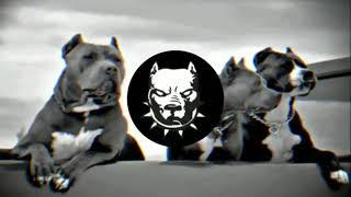 Azeri B Music 2020 Xarici Mahnilar Буйна Голова