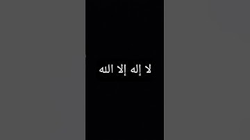 محمد اللحيدان سورة النساء