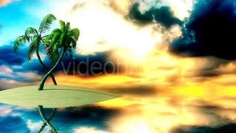 Palm Tree in Island | Motion Graphics - Videohive template