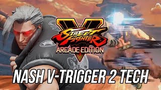 SFV AE - Early Nash V-Trigger 2 Compiled Tech and Combos