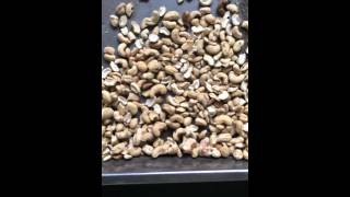HONS Cashew nut sorting machine from china color sorter